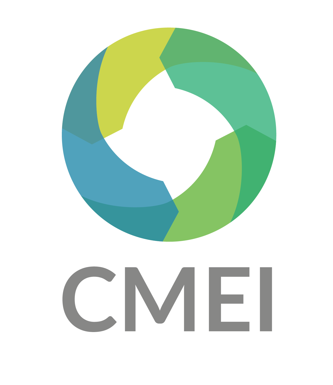 CMEI Logo